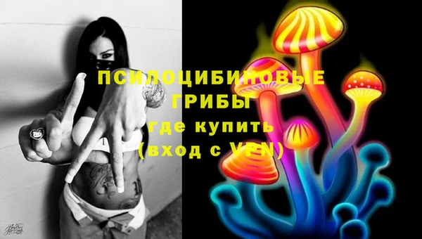 прущая мука Абаза