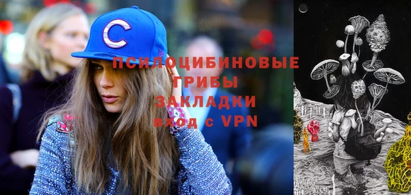ешки Абинск